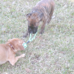 My Rope!