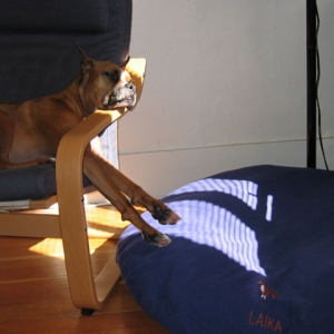 Chair-off limits!