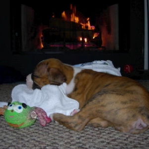 Fireside Gus