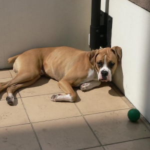 Sunbathing....