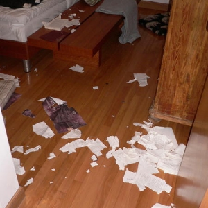 Shredder!!!