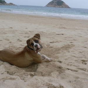 At the beach....