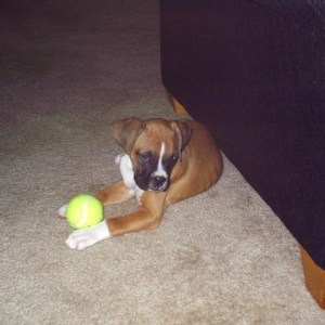 sasha and her ball