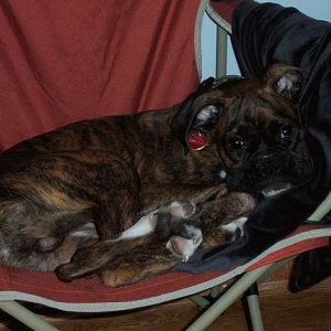 Just hanging around!