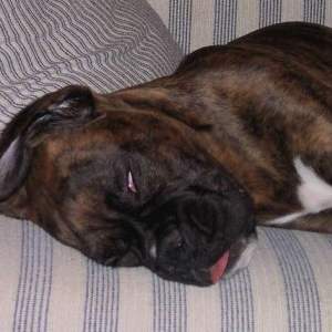 I do like to sleep...