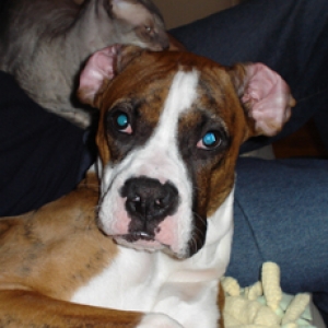 What ears...I have ears!