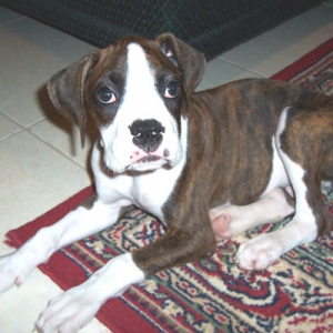 Buster1