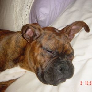 Sleeping with one ear open