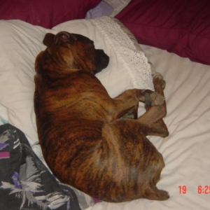 Brudus Taking over my sleeping Quarters