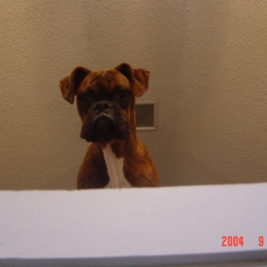 Brudus..didya hear sumpthin??