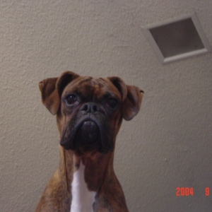 MY BUD !!