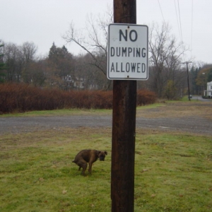 No dumping...oops...