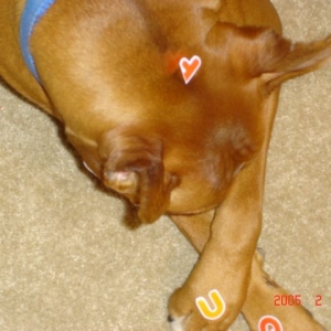 Camera Shy