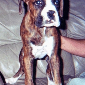 Toby's First Days With Us