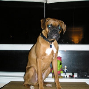 Wendel likes his new view