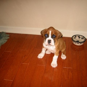 welcome home!