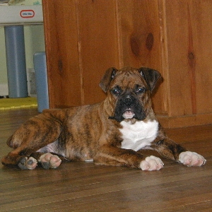 Kabuto 3 months