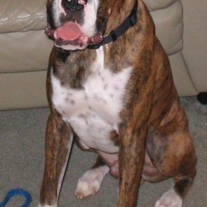 7 months old