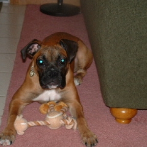 Libby1