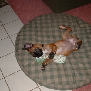 Libby Playing