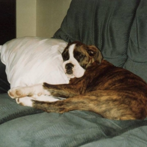 Sleepy_Boy