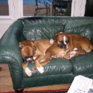 sleepy_pals1