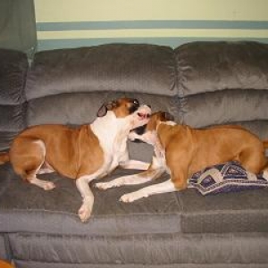 Mother and Son at play