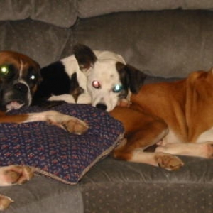 The three amigos