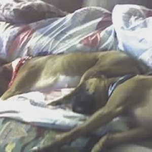 Cruz_Roxy_1