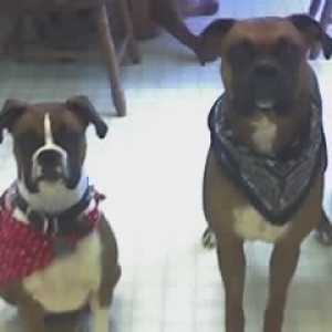 Cruz_Roxy_2