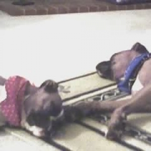 Cruz_Roxy_3