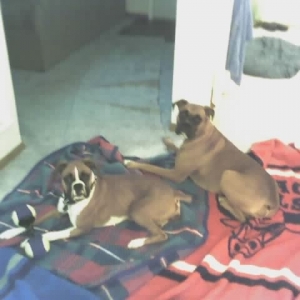 Cruz_Roxy_new