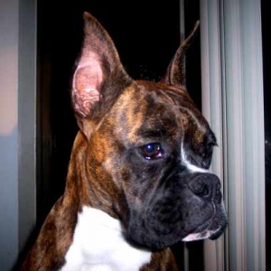 Jada age 7 mos