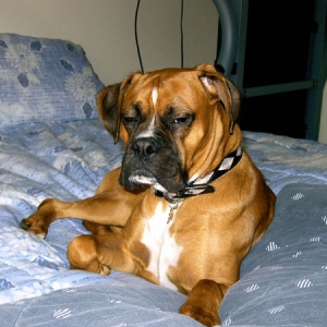 Brody - you talkin' to me?