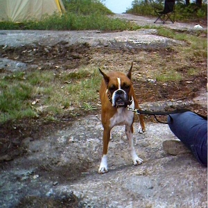 Mandy camping