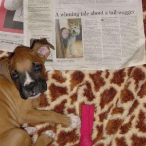 Coco reads the paper
