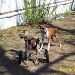 Jewel & Cleo - Playing again