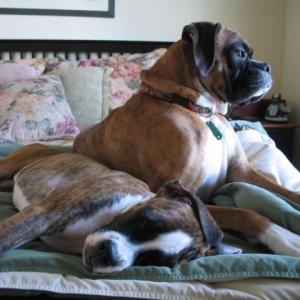 The Girls Relaxing