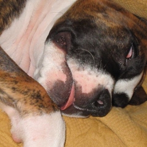 Deep Sleep