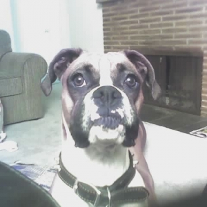 Roxy_4