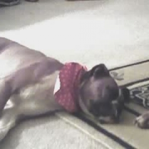 Roxy_2