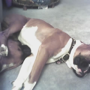 Cruz_and_Roxy