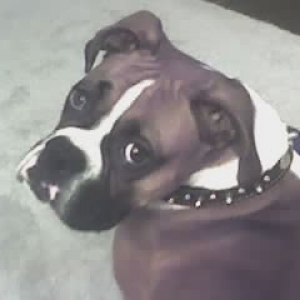 Roxy_31