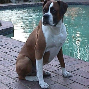 Tyson