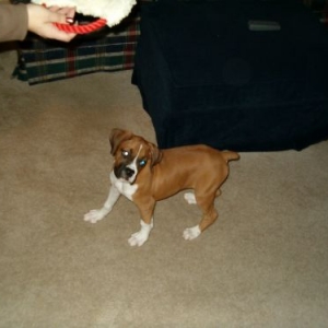 bailey_006