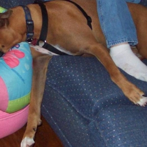 buddy  very relaxed