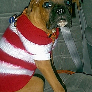buddy going bye bye