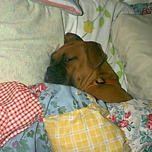 buddy out like a light