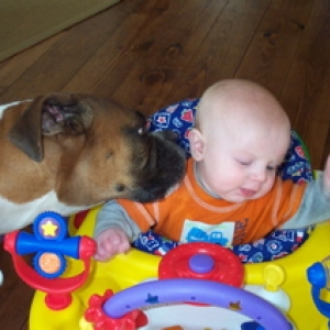 Peanut April 03  BOXER KISSES