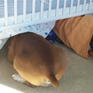 Peanut and daddy, a fort under that crib?